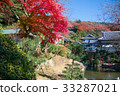 Autumn leaves of Myoko pond 33287021