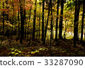 Autumn leaves 33287090