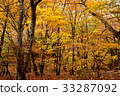 Yellow leaves 2 33287092