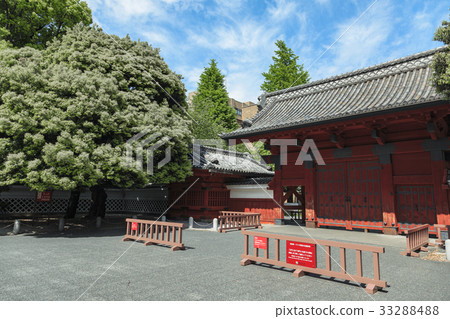 東京大學Akamon 33288488