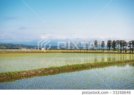 春天的田園風光 33288646