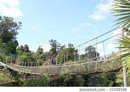 Paronella Park _ Suspension Bridge @ Australia 33289386
