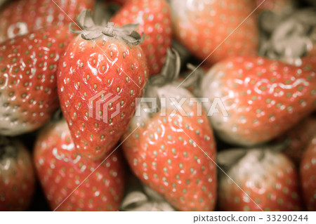 isolated on white background with clipping path  33290244