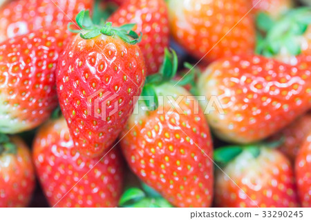 isolated on white background with clipping path  33290245