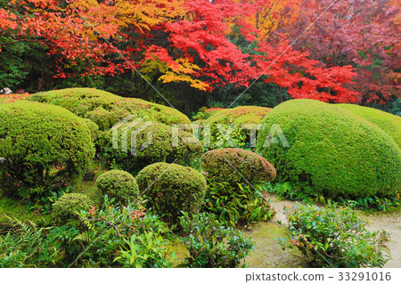 SHISEN-DO , Kyoto, Japan 33291016