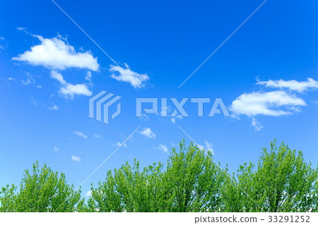 Fresh green and blue sky 33291252