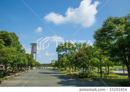 Hamanako Garden Park in Midsummer 33291954