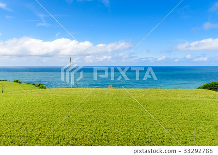 Sea of Japan in summer　 33292788