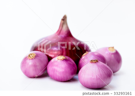 紅洋蔥=紫洋蔥 33293161