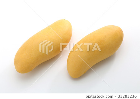 mango mango 33293230