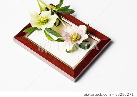 相框和聖誕玫瑰 33293271