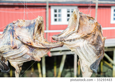 Cod drier in Norway Cod drier in Norway 33293483