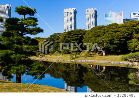 與東京四季的前Shiba Rikyu花園的秋天 33293493