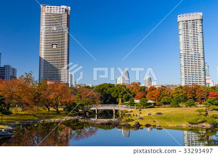 Fall of the former Shiba Rikyu Garden with the four seasons of Tokyo 33293497
