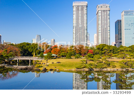 與東京四季的前Shiba Rikyu花園的秋天 33293499