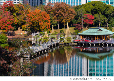 Fall of the former Shiba Rikyu Garden with the four seasons of Tokyo 33293509