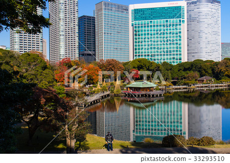 與東京四季的前Shiba Rikyu花園的秋天 33293510