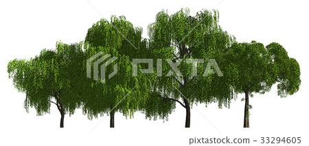 Group of trees isolated on white 3d illustration 33294605
