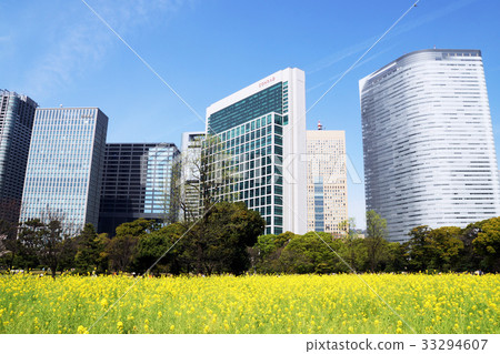 東京辦公區 東京辦公區 33294607