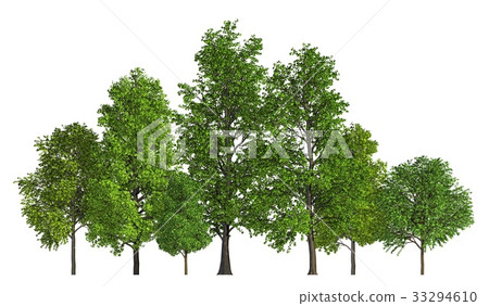 Group of trees isolated on white 3d illustration Group of trees isolated on white 3d illustration 33294610