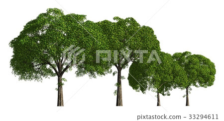 Group of trees isolated on white 3d illustration 33294611