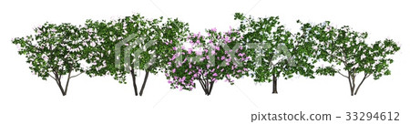 Group of trees isolated on white 3d illustration Group of trees isolated on white 3d illustration 33294612
