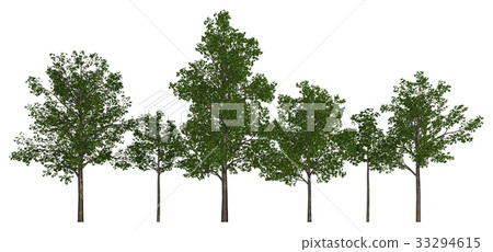 Group of trees isolated on white 3d illustration Group of trees isolated on white 3d illustration 33294615