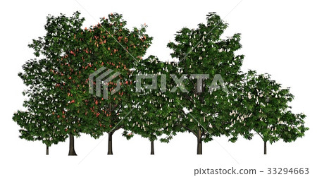 Group of trees isolated on white 3d illustration Group of trees isolated on white 3d illustration 33294663