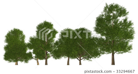 Group of trees isolated on white 3d illustration Group of trees isolated on white 3d illustration 33294667