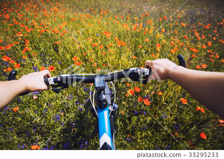 圖庫照片: woman riding on a bicycle on the blooming meadow