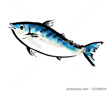 Mackerel 33296639