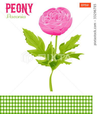Realistic peony flower with leaves - Stock Illustration [33296785] - PIXTA