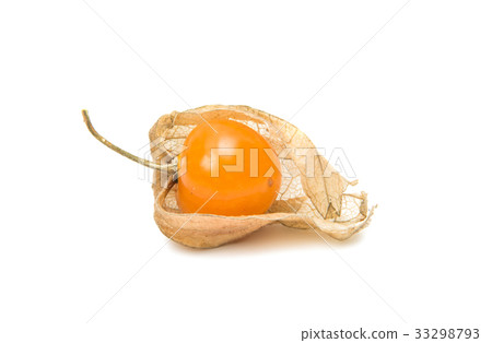 Physalis isolated Physalis isolated 33298793