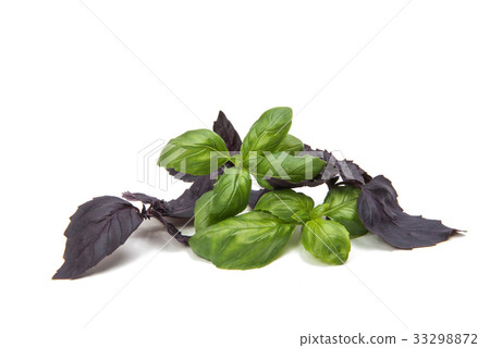 Basil isolated Basil isolated 33298872