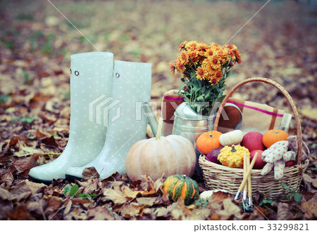 Autumn still life with different pumpkins 33299821