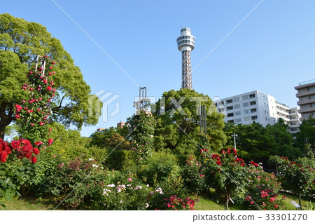 橫濱，山下公園和海洋塔 33301270