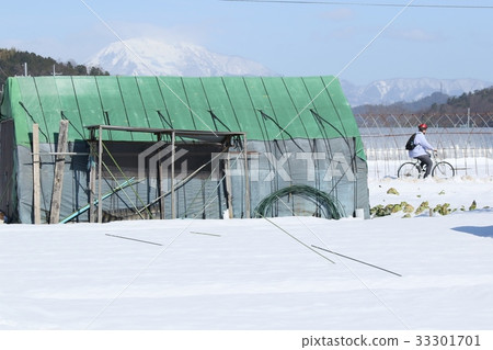 Ibuki mountain and the person who goes by bicycle to go to the field and farm road where the snow has fallen 33301701