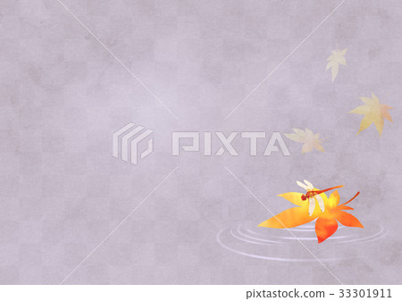 秋葉和紅色Tonbo Yoko（紫紅色） 33301911