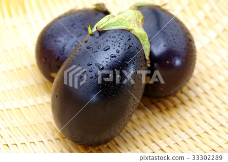 美國茄子3件各種猴子a-4 33302289