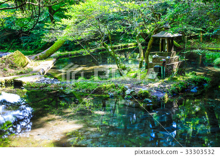 新鮮綠色的山武水源熊本縣阿蘇郡生產山村 33303532
