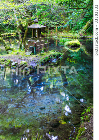 Fresh green Yamabuki water source Kumamoto Prefecture Aso-gun production mountain village Fresh green Yamabuki water source Kumamoto Prefecture Aso-gun production mountain village 33303533