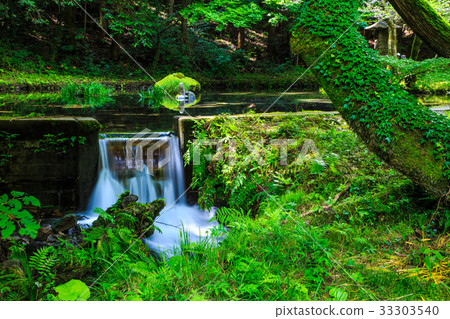 Fresh green Yamabuki water source Kumamoto Prefecture Aso-gun production mountain village Fresh green Yamabuki water source Kumamoto Prefecture Aso-gun production mountain village 33303540