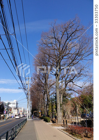 Street in Tokyo, Japan 33303750