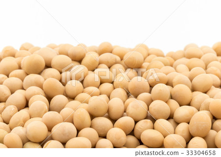 Soybean: soybean 33304658