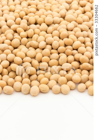 Soybean: soybean 33304662