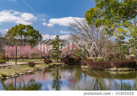 Plum forest at Mito Kairakuen 33305038