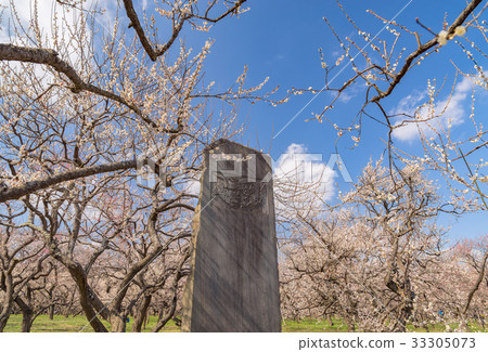 Meirin of Mito Kairakuen and monuments of two masters Meirin of Mito Kairakuen and monuments of two masters 33305073