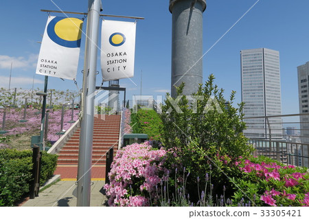 大阪站城 - 天王農場 - 大阪站城 - 天王農場 - 33305421