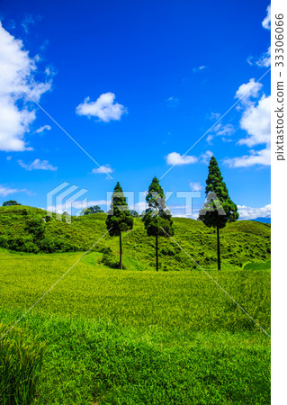 Oganadada熊本縣山村 33306066