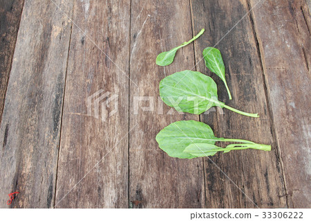 Chinese kale fresh vegetable on Wooden floor Chinese kale fresh vegetable on Wooden floor 33306222